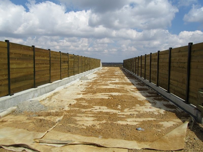 Paso de ganado en Bercianos Sahagún