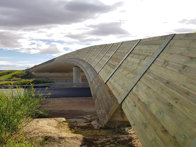 Pantalla Paso de Fauna sobre Autovía TORAL DE LOS GUZMANES EN LEÓN